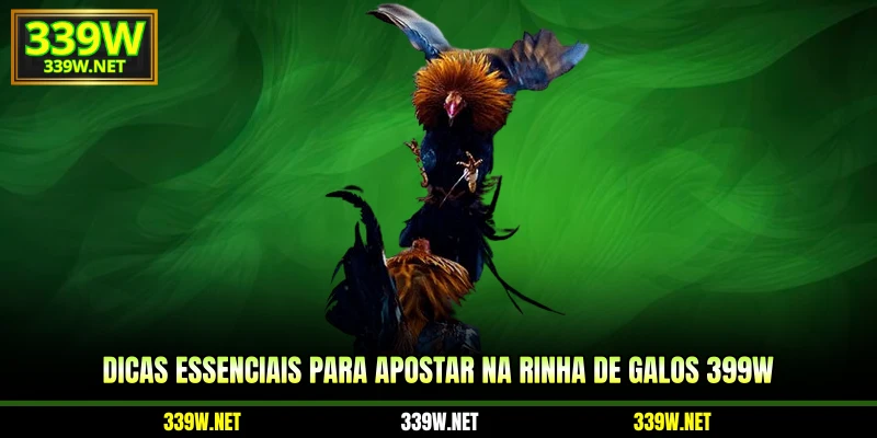 Dicas essenciais para apostar na Rinha de Galos 399w