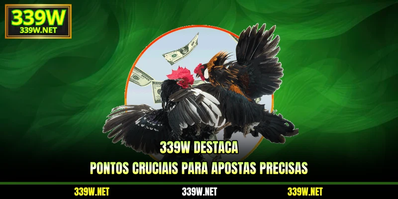 339w destaca pontos cruciais para apostas precisas