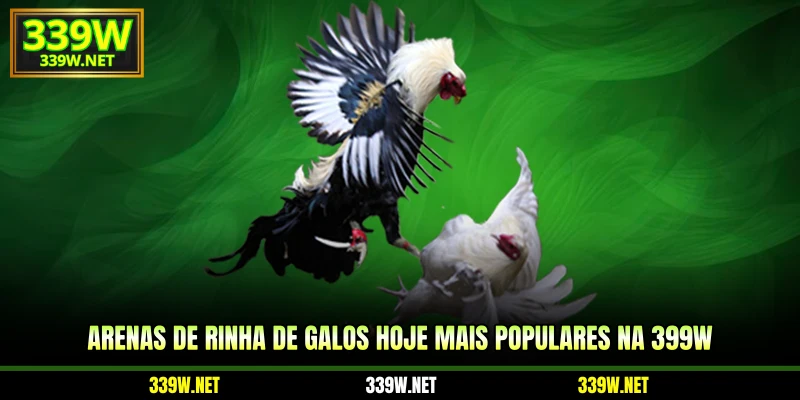 Arenas de Rinha de Galos Hoje mais populares na 399w