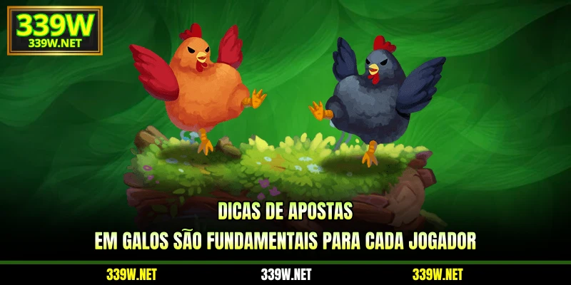 Dicas de apostas em galos são fundamentais para cada jogador