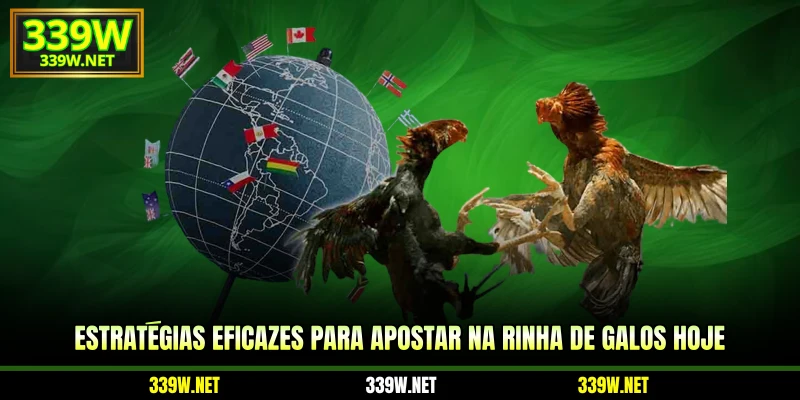 Estratégias eficazes para apostar na Rinha de Galos Hoje