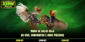 Rinha De Galos Hoje | Ao Vivo, Confrontos E Odds Precisos